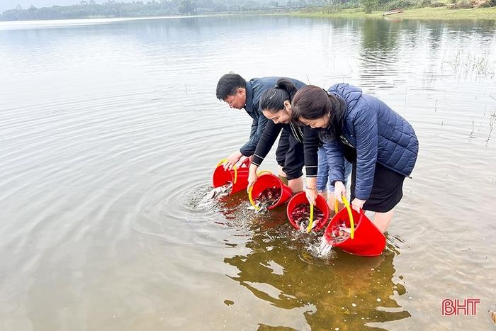 Thả 2,24 tấn cá giống tái tạo nguồn lợi thủy sản ở Đức Thọ