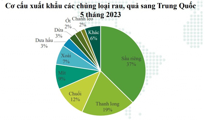 Xuất khẩu sầu riêng sang Trung Quốc tăng 10 lần trong 1 tháng